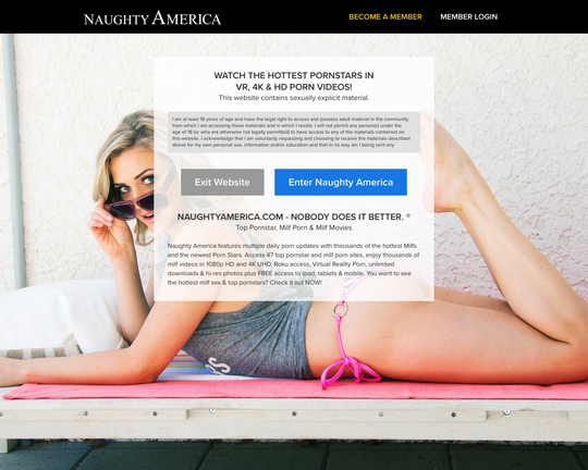 Naughty America Logo